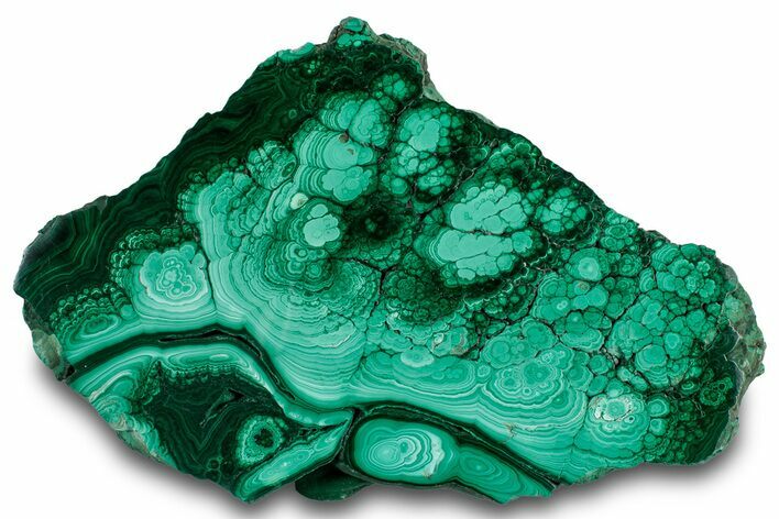 Flowery Polished Malachite Slab - DR Congo #319871